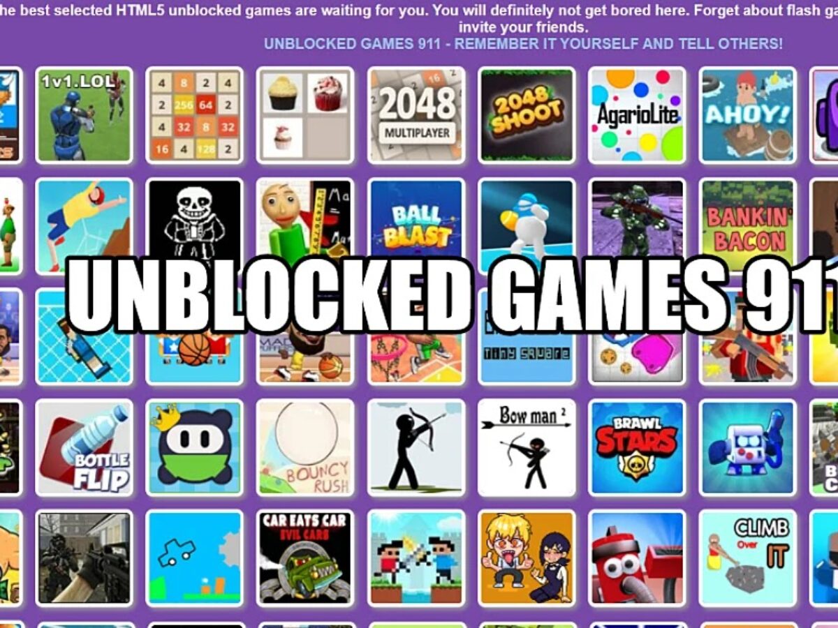 Learn To Fly 3 Unblocked Games 911, WTF, 76 That You Can Pay - Be