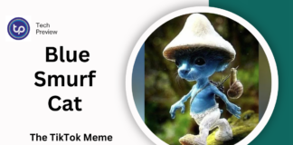 blue smurf cat