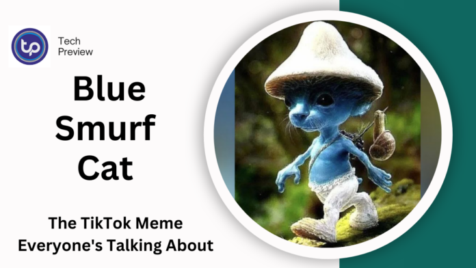 blue smurf cat