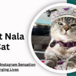 Nala cat