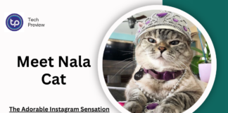 Nala cat