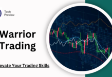 warrior trading