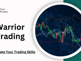 warrior trading