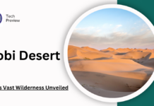 gobi desert