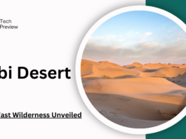 gobi desert