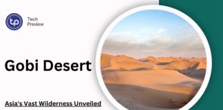 gobi desert