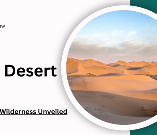 gobi desert