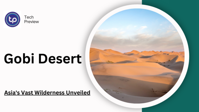 gobi desert