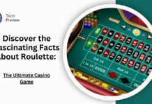 Discover the Fascinating Facts About Roulette: