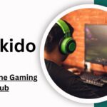 Fun with Snokido: The Free Online Gaming Hub