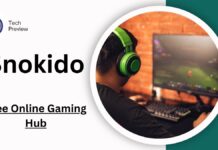 Fun with Snokido: The Free Online Gaming Hub