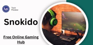 Fun with Snokido: The Free Online Gaming Hub