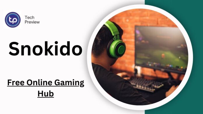 Fun with Snokido: The Free Online Gaming Hub