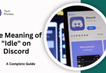 The Meaning of "Idle" on Discord