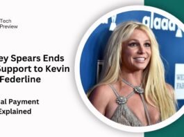 Britney Spears Ends Child Support to Kevin Federline: The Final Payment Explained