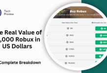 The Real Value of 17,000 Robux in US Dollars