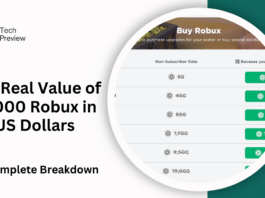 The Real Value of 17,000 Robux in US Dollars