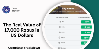 The Real Value of 17,000 Robux in US Dollars