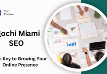 Egochi Miami SEO