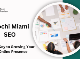 Egochi Miami SEO