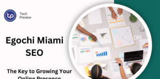 Egochi Miami SEO