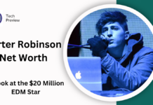 Porter Robinson Net Worth