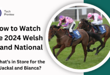 How to Watch the 2024 Welsh Grand National