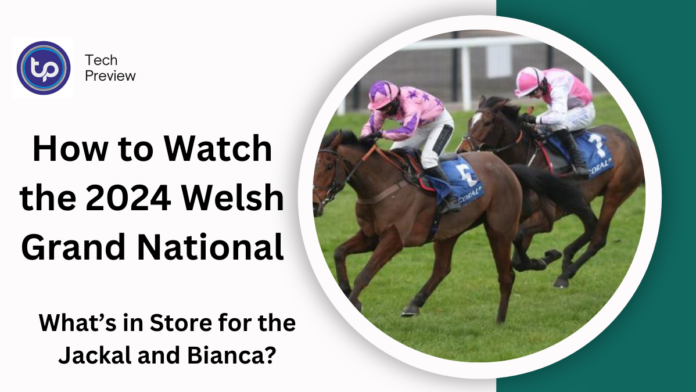 How to Watch the 2024 Welsh Grand National