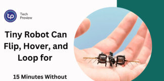 Tiny Robot Can Flip, Hover, and Loop for